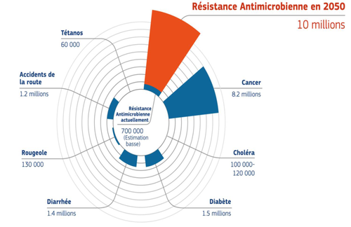 causes de mortalité majeures dans le monde
